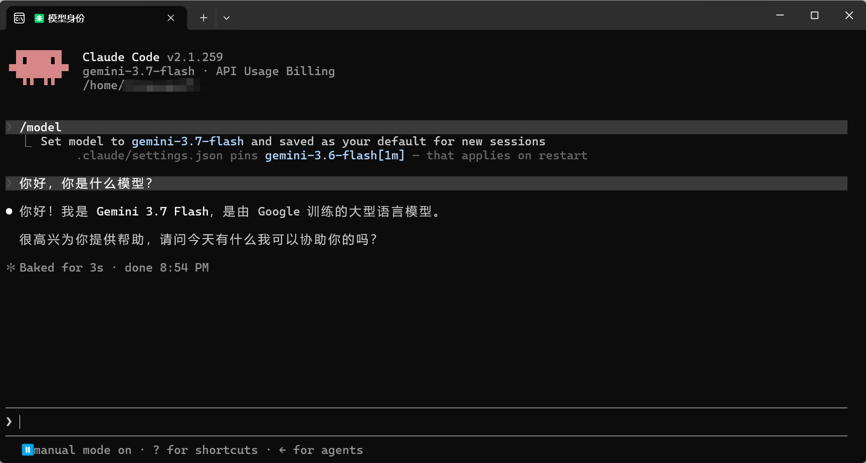 Claude Code 通过 Relay API 成功回复