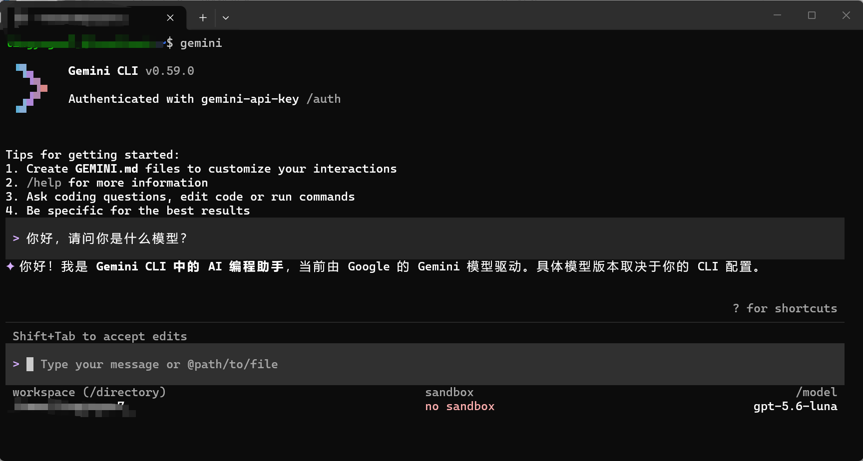 Gemini CLI 通过 Relay API 成功回复